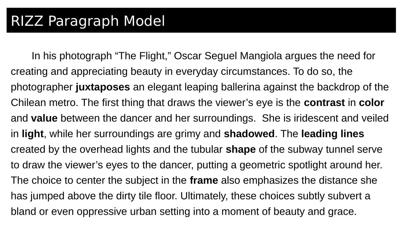 The RIZZ paragraph model worked on a photograph